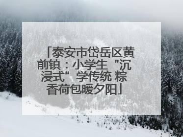 泰安市岱岳区黄前镇：小学生“沉浸式”学传统 粽香荷包暖夕阳