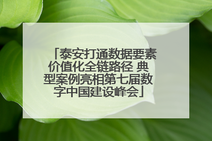 泰安打通数据要素价值化全链路径 典型案例亮相第七届数字中国建设峰会