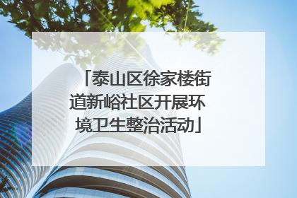 泰山区徐家楼街道新峪社区开展环境卫生整治活动