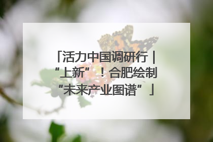 活力中国调研行｜“上新”！合肥绘制“未来产业图谱”