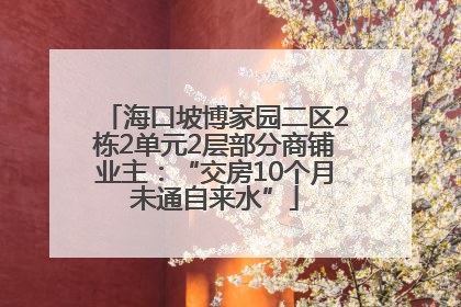 海口坡博家园二区2栋2单元2层部分商铺业主：“交房10个月未通自来水”