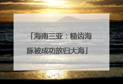 海南三亚：糙齿海豚被成功放归大海