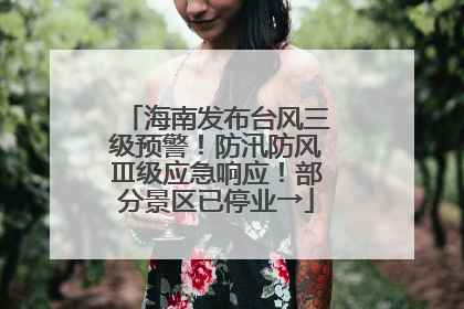 海南发布台风三级预警！防汛防风Ⅲ级应急响应！部分景区已停业→