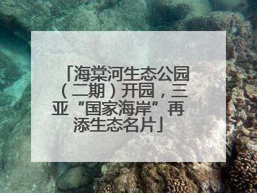 海棠河生态公园（二期）开园，三亚“国家海岸”再添生态名片