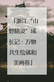 浙江“山野精灵”成长记：万物共生绘就和美画卷