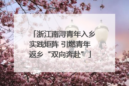浙江南浔青年入乡实践矩阵 引燃青年返乡“双向奔赴”