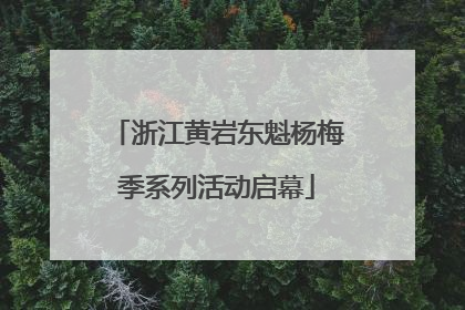 浙江黄岩东魁杨梅季系列活动启幕