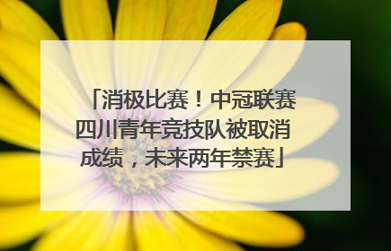 消极比赛！中冠联赛四川青年竞技队被取消成绩，未来两年禁赛