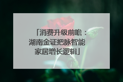 消费升级前瞻：湖南金证把脉智能家居增长逻辑