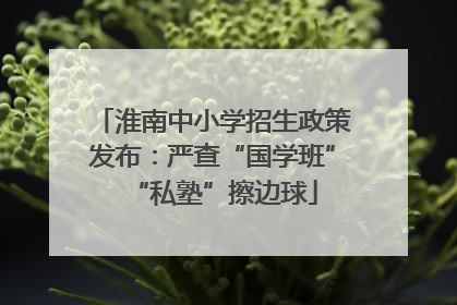 淮南中小学招生政策发布：严查“国学班”“私塾”擦边球