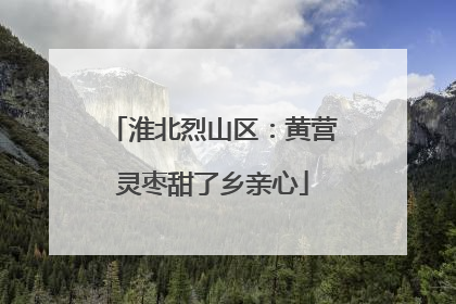 淮北烈山区：黄营灵枣甜了乡亲心