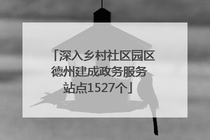 深入乡村社区园区 德州建成政务服务站点1527个