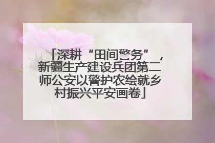 深耕“田间警务”，新疆生产建设兵团第二师公安以警护农绘就乡村振兴平安画卷