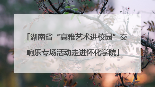 湖南省“高雅艺术进校园”交响乐专场活动走进怀化学院