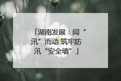 湖南发展：闻“汛”而动 筑牢防汛“安全墙”