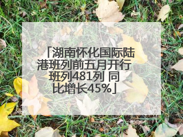 湖南怀化国际陆港班列前五月开行班列481列 同比增长45%