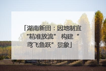 湖南新田：因地制宜“精准放流” 构建“鸢飞鱼跃”景象