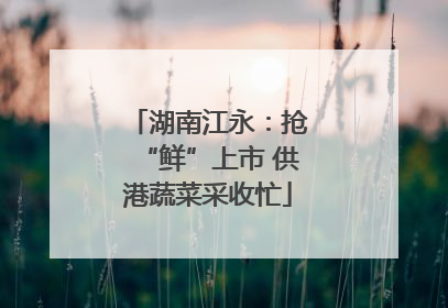 湖南江永：抢“鲜”上市 供港蔬菜采收忙