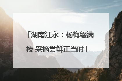 湖南江永：杨梅缀满枝 采摘尝鲜正当时