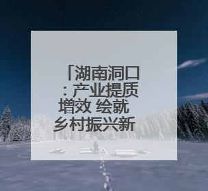 湖南洞口：产业提质增效 绘就乡村振兴新图景