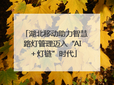 湖北移动助力智慧路灯管理迈入“AI＋灯链”时代
