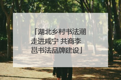 湖北乡村书法潮走进咸宁 共商李邕书法品牌建设