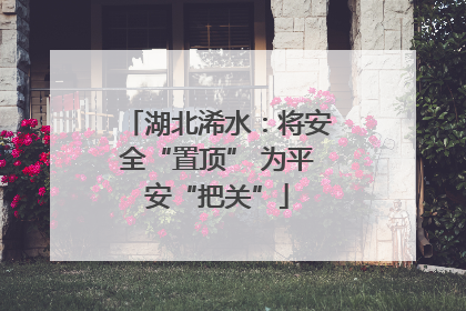 湖北浠水：将安全“置顶” 为平安“把关”