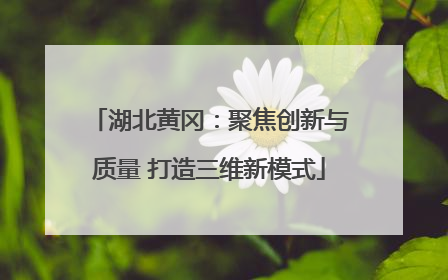 湖北黄冈：聚焦创新与质量 打造三维新模式