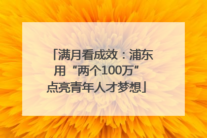 满月看成效：浦东用“两个100万”点亮青年人才梦想