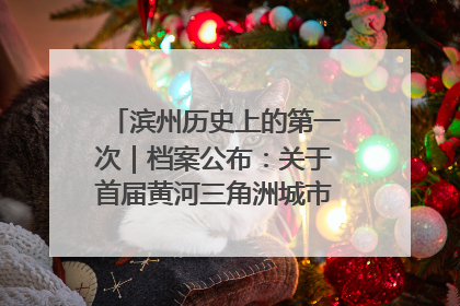 滨州历史上的第一次｜档案公布：关于首届黄河三角洲城市经济博览会暨发展论坛情况的总结报告