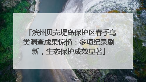 滨州贝壳堤岛保护区春季鸟类调查成果惊艳：多项纪录刷新，生态保护成效显著