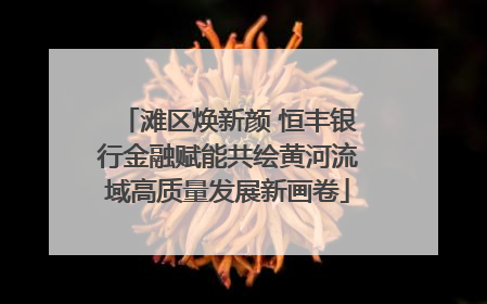 滩区焕新颜 恒丰银行金融赋能共绘黄河流域高质量发展新画卷