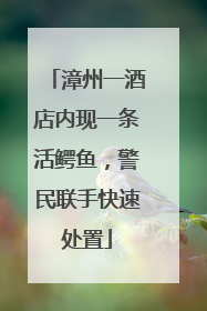 漳州一酒店内现一条活鳄鱼，警民联手快速处置