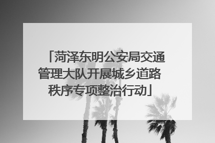 菏泽东明公安局交通管理大队开展城乡道路秩序专项整治行动