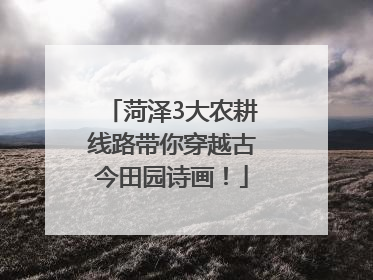 菏泽3大农耕线路带你穿越古今田园诗画！