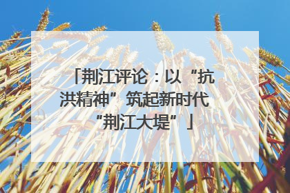 荆江评论：以“抗洪精神”筑起新时代“荆江大堤”