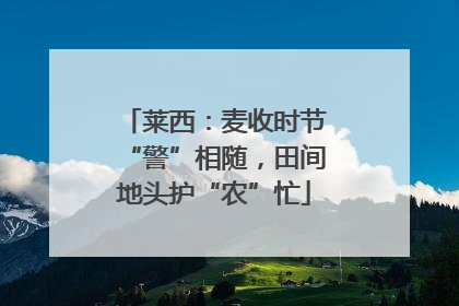 莱西：麦收时节“警”相随，田间地头护“农”忙