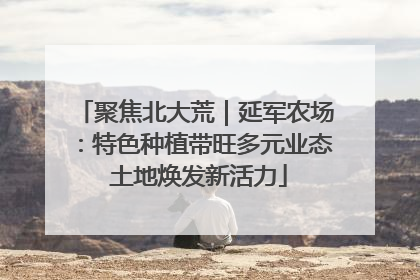 聚焦北大荒｜延军农场：特色种植带旺多元业态 土地焕发新活力