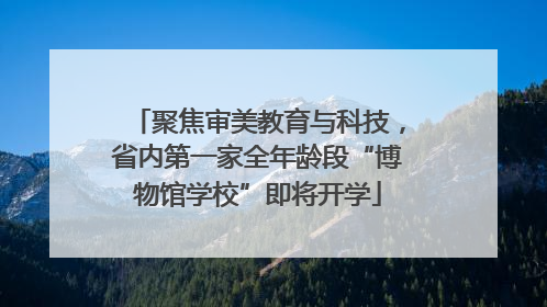 聚焦审美教育与科技，省内第一家全年龄段“博物馆学校”即将开学