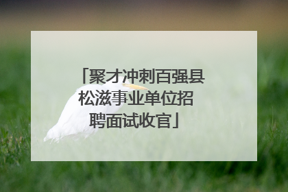 聚才冲刺百强县 松滋事业单位招聘面试收官