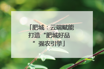 肥城：云端赋能 打造“肥城好品”强农引擎