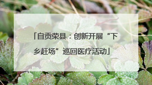 自贡荣县：创新开展“下乡赶场”巡回医疗活动