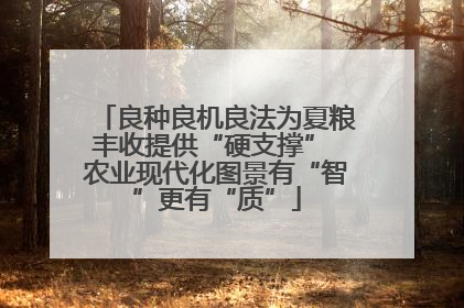良种良机良法为夏粮丰收提供“硬支撑” 农业现代化图景有“智”更有“质”