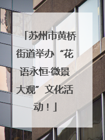 苏州市黄桥街道举办“花语永恒·微景大观”文化活动！