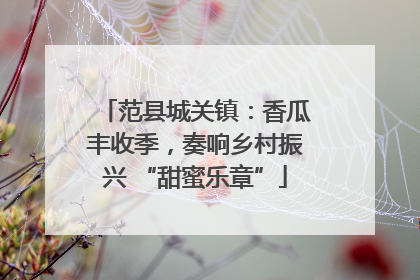 范县城关镇：香瓜丰收季，奏响乡村振兴 “甜蜜乐章”