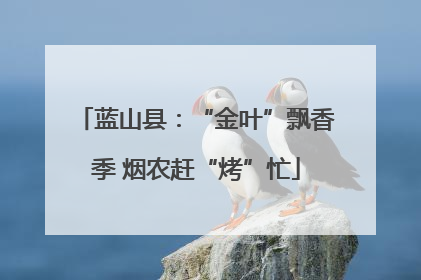 蓝山县：“金叶”飘香季 烟农赶“烤”忙