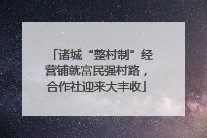 诸城“整村制”经营铺就富民强村路，合作社迎来大丰收