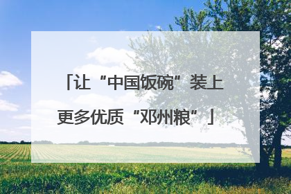让“中国饭碗”装上更多优质“邓州粮”