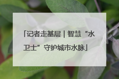 记者走基层｜智慧“水卫士”守护城市水脉