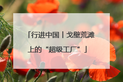 行进中国丨戈壁荒滩上的“超级工厂”